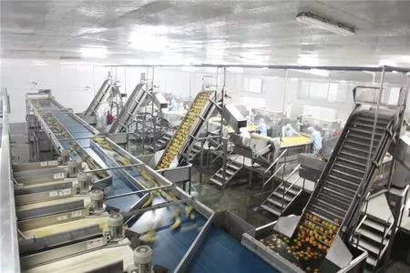 山东康发食品有限公司1