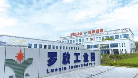 山东罗欣药业集团股份有限公司